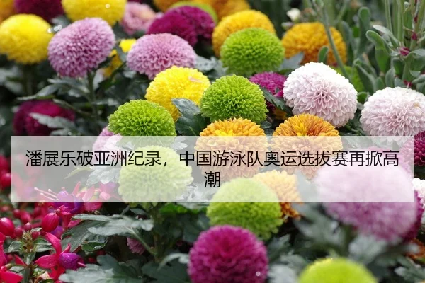 潘展乐破亚洲纪录，中国游泳队奥运选拔赛再掀高潮