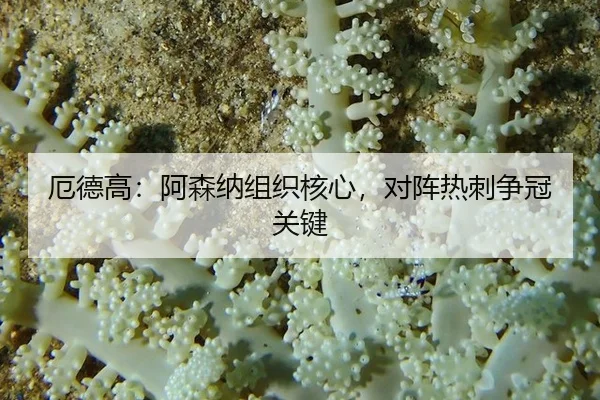 e-de-gao-a-sen-na-zu-zhi-he-xin-dui-zhen-re-ci-zheng-guan-guan-jian-3-189.jpg